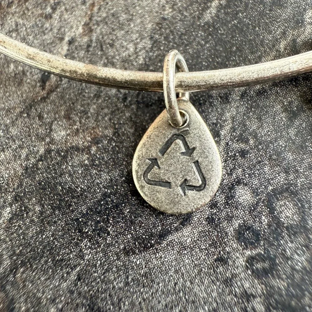 Alex and Ani Apple Charm Bracelet Silver Nature Expandable Bangle - Picture 10 of 14